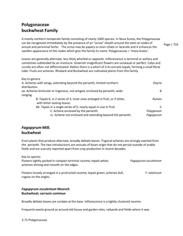Polygonaceae Buckwheat Family