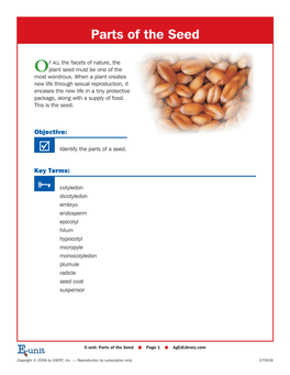 Parts of the Seed