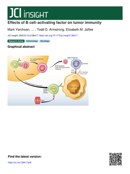 Effects of B Cell–Activating Factor on Tumor Immunity