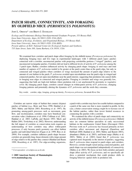 Patch Shape, Connectivity, and Foraging by Oldfield Mice (Peromyscus Polionotus)