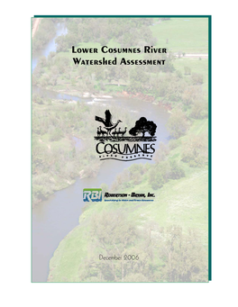 Lower Cosumnes River Watershed Assessment