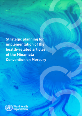 Strategic Planning for Implementation of the Health-Related Articles of the Minamata Convention on Mercury