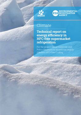 Energy Efficiency in HFC-Free Supermarket Refrigeration