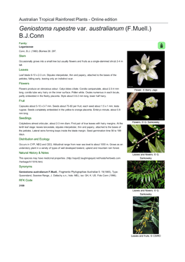 Geniostoma Rupestre Var. Australianum (F.Muell.) B.J.Conn Family: Loganiaceae Conn, B.J