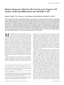 Differentiate Into Dendritic Cells Express Cell Surface TLR9 And