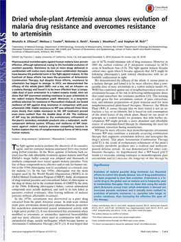 Dried Whole-Plant Artemisia Annua Slows Evolution of Malaria Drug Resistance and Overcomes Resistance to Artemisinin
