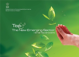 Tea Brochure DIC 11 X 8.Pdf