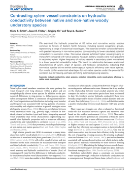 Contrasting Xylem Vessel Constraints on Hydraulic Conductivity Between Native and Non-Native Woody Understory Species