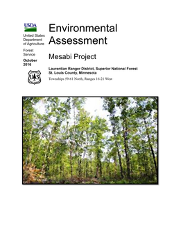 Mesabi Project EA