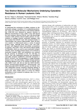 Two Distinct Molecular Mechanisms Underlying Cytarabine Resistance in Human Leukemic Cells