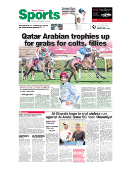 Qatar Arabian Trophies up for Grabs for Colts, Fillies