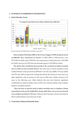 A. SNAPSHOT of MMR/IMR in NTB PROVINCE 1. Infant Mortality Trend