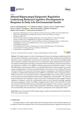 Altered Hippocampal Epigenetic Regulation Underlying Reduced Cognitive Development in Response to Early Life Environmental Insults