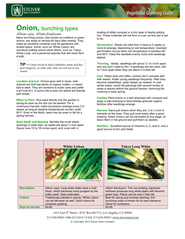 Onion, Bunching Types Dusting of Sifted Compost Or a Thin Layer of Sterile Potting Allium Cepa, Allium Fistulosum Mix