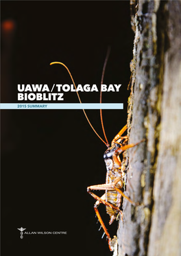 Uawa/ Tolaga Bay Bioblitz