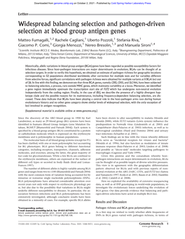 Widespread Balancing Selection and Pathogen-Driven Selection at Blood Group Antigen Genes