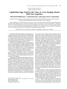 Capillariidae Eggs Found in the Urine of a Free Ranging Maned Wolf from Argentina Pablo Martín Beldomenico/+, Daniel Hunzicker*, Julio Lopez Taverna*, Paula K Rejf