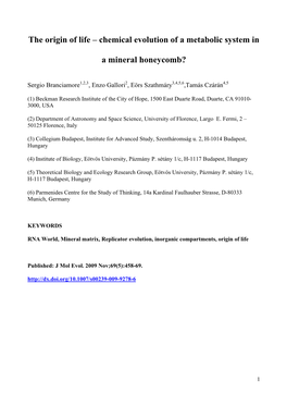 Chemical Evolution of a Metabolic System in a Mineral