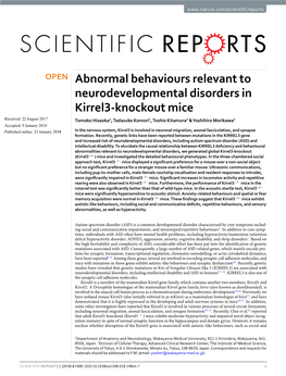 Abnormal Behaviours Relevant to Neurodevelopmental Disorders In