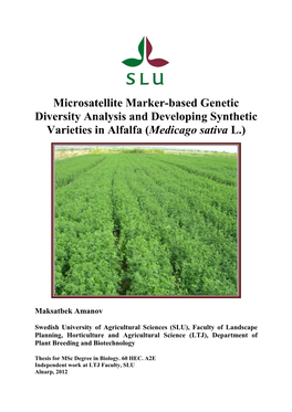 Microsatellite Marker-Based Genetic Diversity Analysis and Developing Synthetic Varieties in Alfalfa (Medicago Sativa L.)