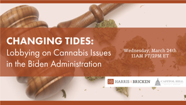 Lobbying-On-Cannabis-Issues-PPT.Pdf