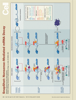 Snapshot: Nonsense-Mediated Mrna Decay Sébastien Durand and Jens Lykke-Andersen Division of Biology, University of California San Diego, La Jolla, CA 92093, USA