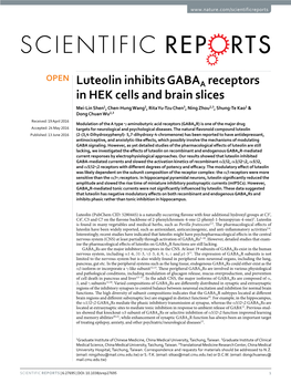 Luteolin Inhibits GABAA Receptors in HEK Cells and Brain Slices