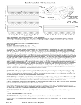 Moths of North Carolina - Early Draft 1