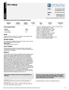 PAK1 Antibody A