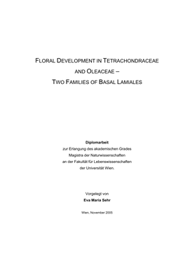 Floral Development in Tetrachondraceae