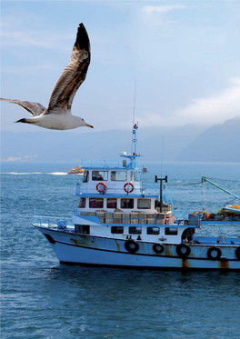 IDENTIFICATION of VULNERABLE SPECIES INCIDENTALLY CAUGHT in MEDITERRANEAN FISHERIES Seabirds