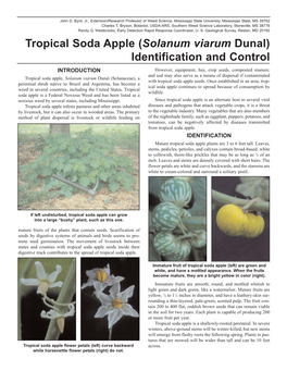 Tropical Soda Apple (Solanum Viarum Dunal) Identification and Control