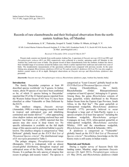 Records of Rare Elasmobranchs and Their Biological Observation from the North- Eastern Arabian Sea, Off Mumbai