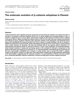 The Molecular Evolution of B-Carbonic Anhydrase in Flaveria