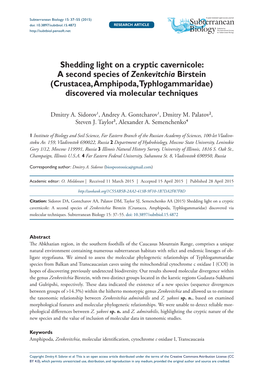 Shedding Light on a Cryptic Cavernicole: a Second Species of Zenkevitchia Birstein (Crustacea, Amphipoda, Typhlogammaridae) Discovered Via Molecular Techniques