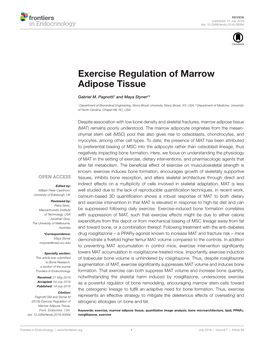 Exercise Regulation of Marrow Adipose Tissue