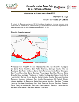 Campaña Contra Ácaro Rojo De Las Palmas En Oaxaca