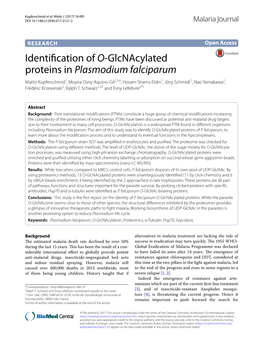Identification of O-Glcnacylated Proteins in Plasmodium Falciparum
