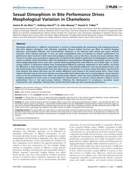 Sexual Dimorphism in Bite Performance Drives Morphological Variation in Chameleons