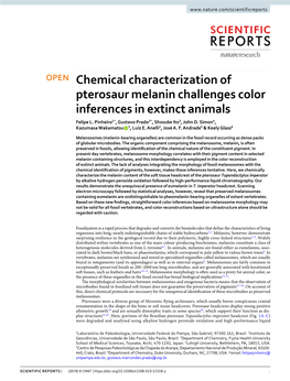 Chemical Characterization of Pterosaur Melanin Challenges Color Inferences in Extinct Animals Felipe L