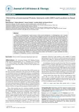 TSGA10 Is a Centrosomal Protein, Interacts with ODF2 and Localizes to Basal Body