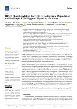 TRAF6 Phosphorylation Prevents Its Autophagic Degradation and Re-Shapes LPS-Triggered Signaling Networks