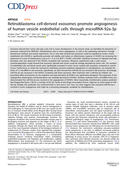 Retinoblastoma Cell-Derived Exosomes Promote Angiogenesis of Human Vesicle Endothelial Cells Through Microrna‐92A-3P