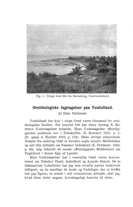 Ornithologiske Iagttagelser Paa Vestlolland" Af ERIK PETERSEN