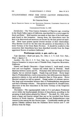 TITANOTHERES from the TITUS CANYON FORMATION, CALIFORNIA by CHESTER STOCK