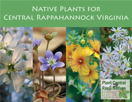 Native Plants for Central Rappahannock Virginia