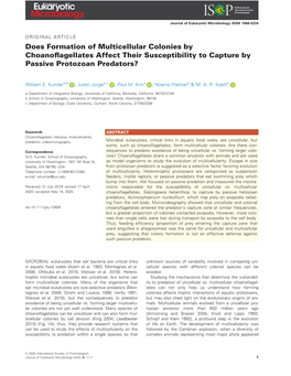 Does Formation of Multicellular Colonies by Choanoflagellates