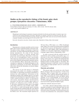 Studies on the Reproductive Biology of the Female Spiny Cheek Grouper, Epinephelus Diacanthus (Valenciennes, 1828)