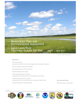 Restoration Plan and Environmental Assessment Saint Louis River Interlake/Duluth Tar Site DRAFT | April 2017