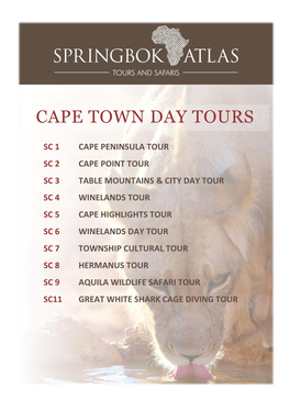 Cape Town Day Tours